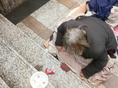 -龙眠大道(地铁站)