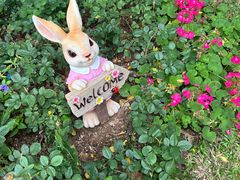 -人民公园(罗湖区)