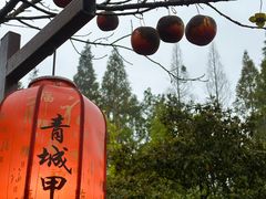 -青城甲(青城山店)