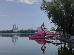 -莲花池公园