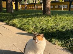 -西园戒幢律寺