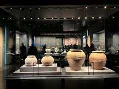 -广西壮族自治区博物馆