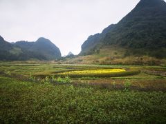 -靖西鹅泉风景区