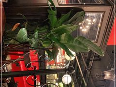 -成都娃娃花园餐厅 (南艺旗舰店)