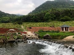 -广州市石门国家森林公园
