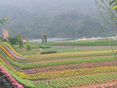 -广州市石门国家森林公园