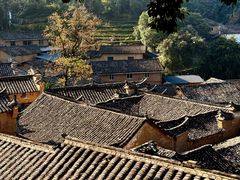 -杨家堂村