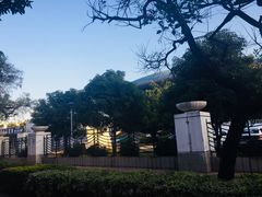 场馆-福建省奥林匹克体育中心-体育馆