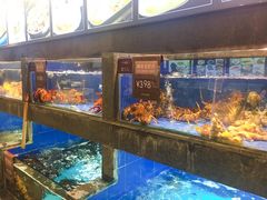 水产区-徐记海鲜(陕西历史博物馆|明德门店)