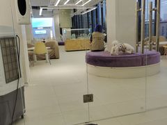 -怪兽屋·羊驼·猫咖·狗咖(俊华广场店)