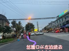 -张醪糟