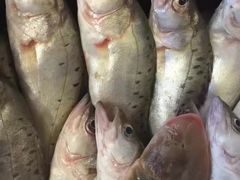 -锦桃农家菜馆