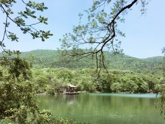 -紫霞湖公园