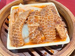 沙爹金钱肚-金苑海鲜酒家(新港中路店)