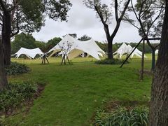 -上海长江河口科技馆