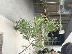 -喜茶(珠海华发商都店)