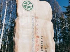 -峡谷浮石林景区