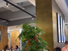 -福海居烤鸭店(鸟巢店)