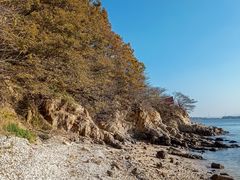 -海源公园