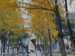 -四川大学(望江校区)