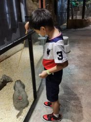 -酷嗒动物文化乐园(cutezoo西溪乐天城店)