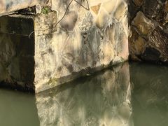 -白鹅咖啡(金城花园店)