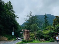 -藏龙百瀑漂流