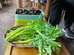 蒿子秆-鑫隆四季涮肉(八角畅游店)