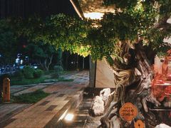 -院里寻菜·精致庭院菜(观沙岭店)