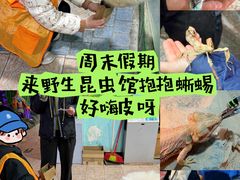 -上海大自然野生昆虫馆(东方明珠·爬宠昆虫探索中心)