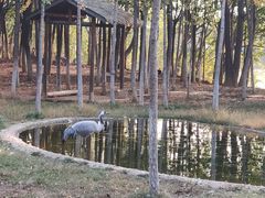 -艾溪湖湿地公园