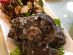 酱爆海螺肉-启东小海鲜(庄先湾路1号店)
