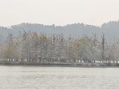 -东湖落雁景区