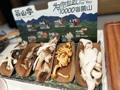 -芸山季·云南山珍菌火锅(南翔印象城MEGA店)