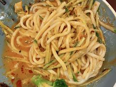 -魏家凉皮(十里河店)