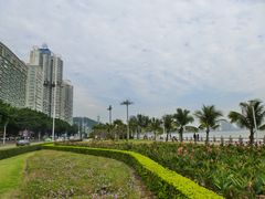情侣路-情侣路
