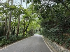 -三门江国家森林公园