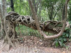 -中国科学院西双版纳热带植物园