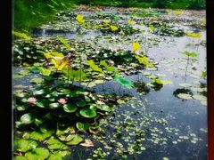 -陶辛水韵