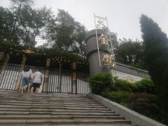 -大金鹰园