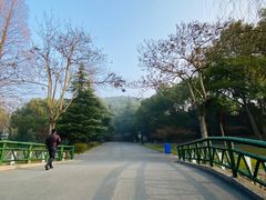 -上海佘山国家森林公园东门地面停车场