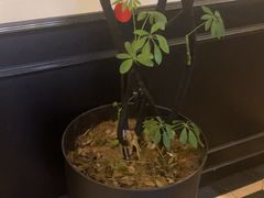 -涟LIAN·泰式按摩·MASSAGE·SPA(深业上城店)