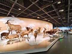 -陕西自然博物馆