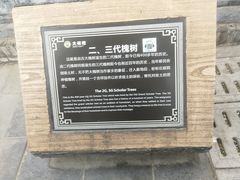 -大槐树寻根祭祖园