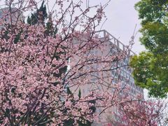 -堤角公园