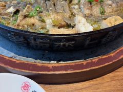 -老板恋上鱼(恒隆广场店)