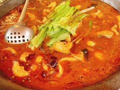 麻辣石锅鱼-都江堰石锅鱼