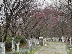 -凤凰沟景区