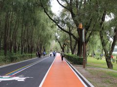 -长春市南湖公园