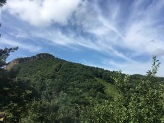 -玉泉威虎山森林公园